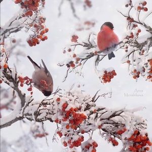 Meet your Posher, Maryam